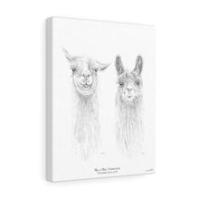 Forrester Llama - Portrait