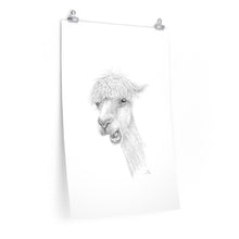 TYLER Llama- Art Paper Print