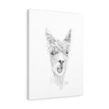 LEONA Llama - Art Canvas