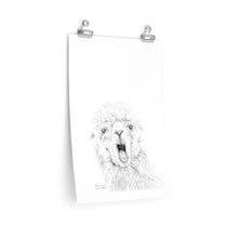 BRENNAN Llama- Art Paper Print