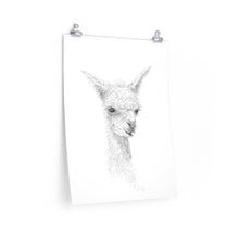 ALICE Llama- Art Paper Print
