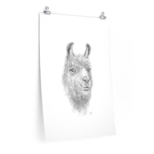 KAYLEE Llama- Art Paper Print