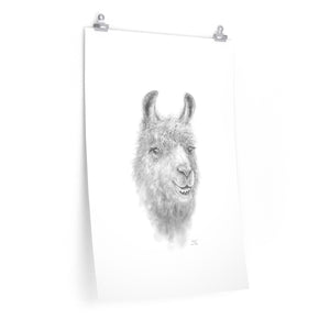 KAYLEE Llama- Art Paper Print