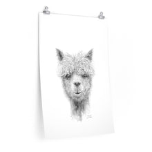 DANIEL Llama- Art Paper Print