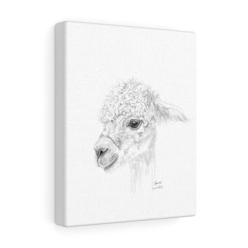 ANNA Llama - Art Canvas