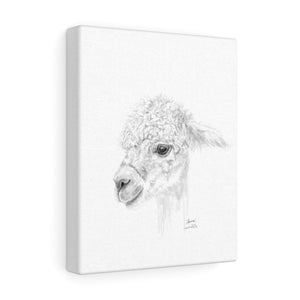 ANNA Llama - Art Canvas