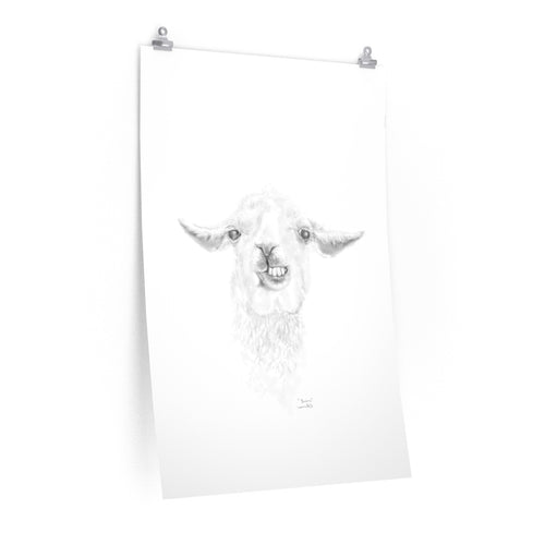 BRIAN Llama- Art Paper Print