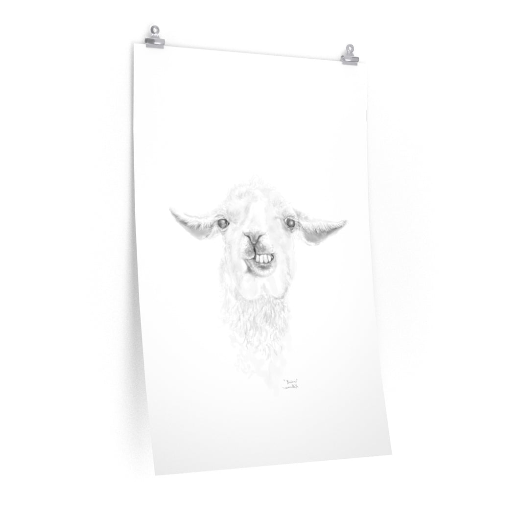 BRIAN Llama- Art Paper Print