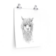WILLOW Llama- Art Paper Print