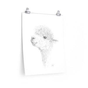 HADLEY Llama- Art Paper Print