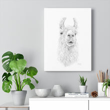 SABRINA Llama - Art Canvas