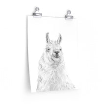 ART Llama- Art Paper Print