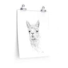 CARI Llama- Art Paper Print