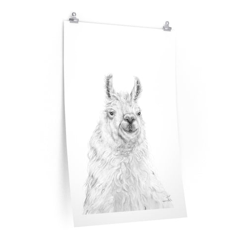 ART Llama- Art Paper Print