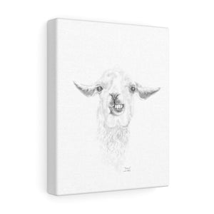 BRIAN Llama - Art Canvas