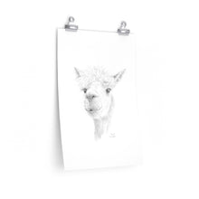 Jenna Llama- Art Paper Print