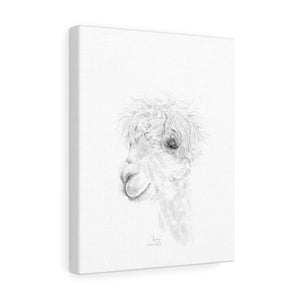 LORI Llama - Art Canvas