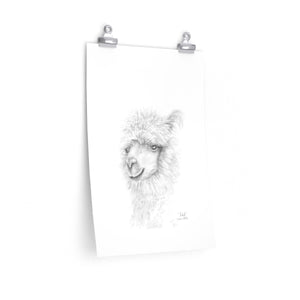 YAKOB Llama- Art Paper Print