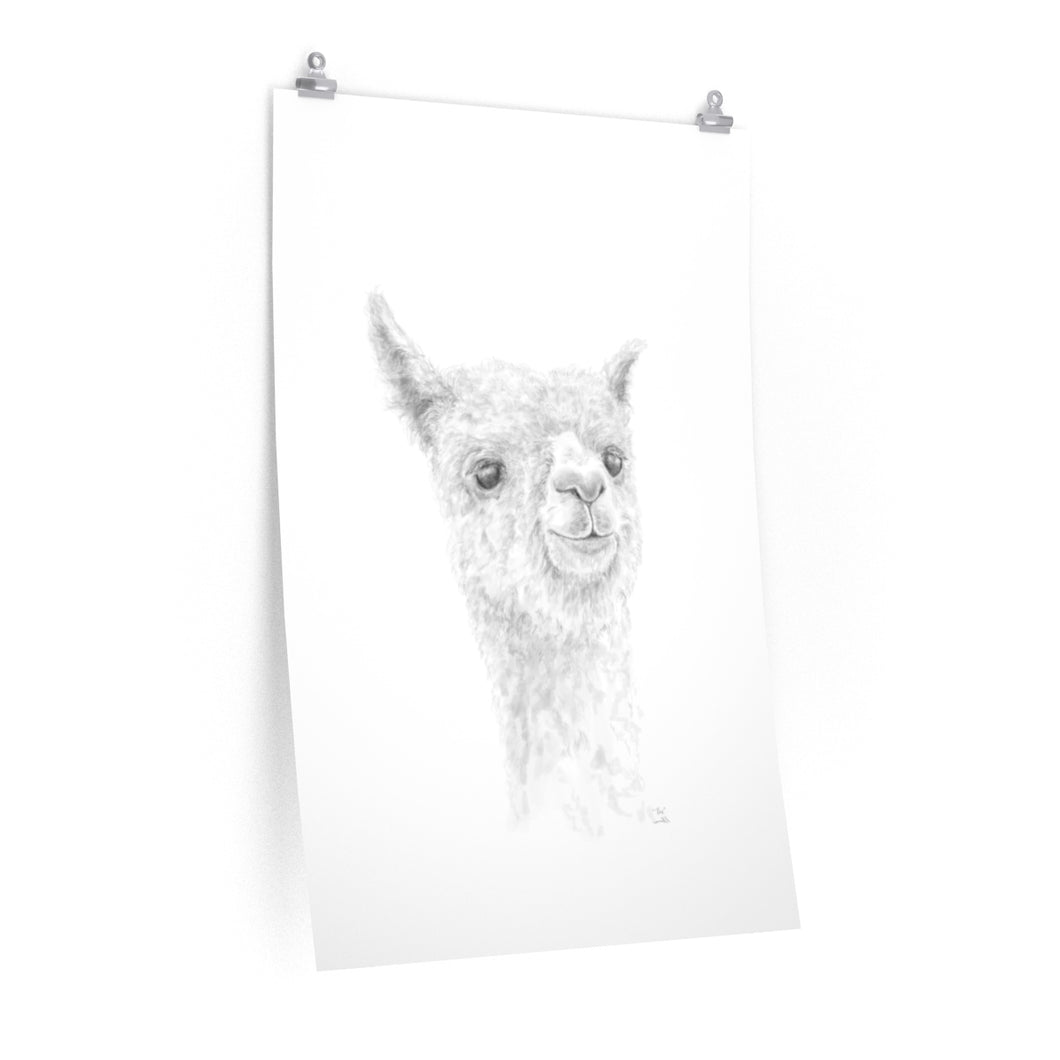 REX Llama- Art Paper Print