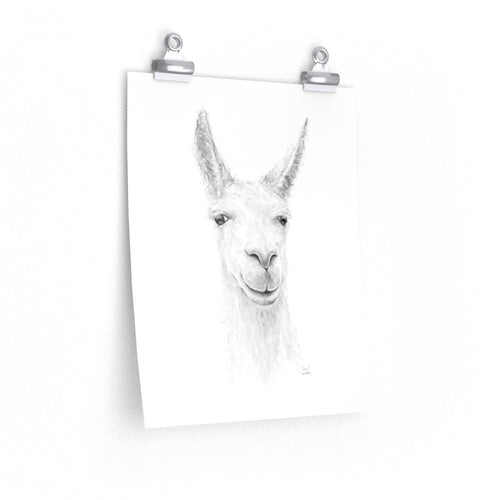 IAN Llama- Art Paper Print