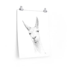 JASON Llama- Art Paper Print