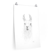 KINGSTON Llama- Art Paper Print