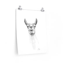 KAIN Llama- Art Paper Print