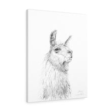 STEVE Llama - Art Canvas