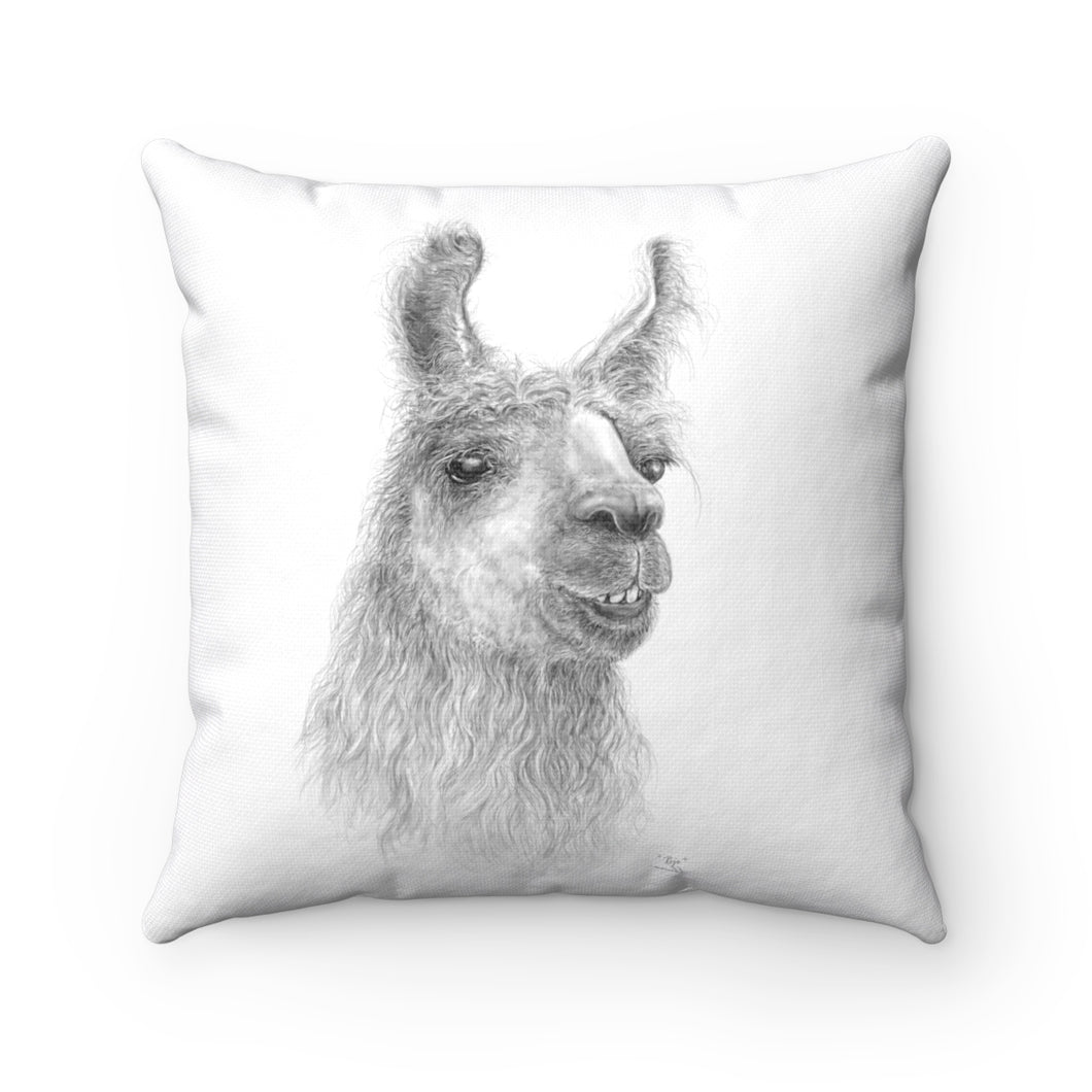Llama Pillow - ROJO