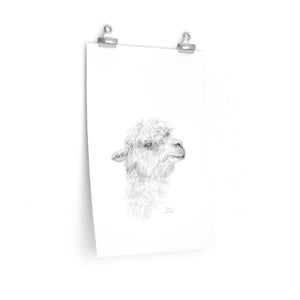 GWEN Llama- Art Paper Print