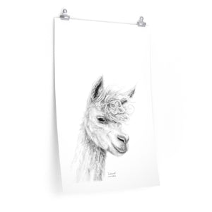 FREDERICK Llama- Art Paper Print
