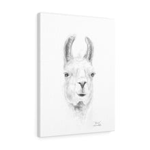 BROWN Llama - Art Canvas