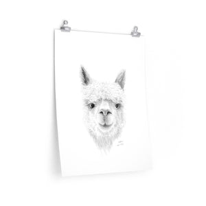 SOPHIA Llama- Art Paper Print