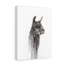 CHARLENE Llama - Art Canvas