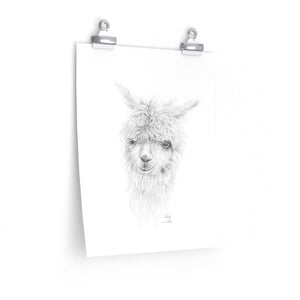 LILY Llama- Art Paper Print