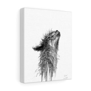 KRISTIN Llama - Art Canvas