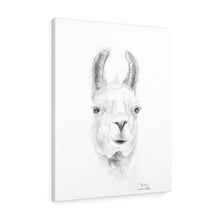 BROWN Llama - Art Canvas