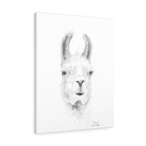 BROWN Llama - Art Canvas