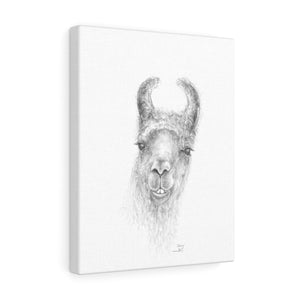 STACEY Llama - Art Canvas