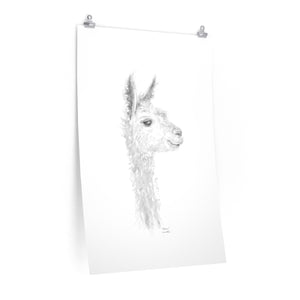 MADISON Llama- Art Paper Print