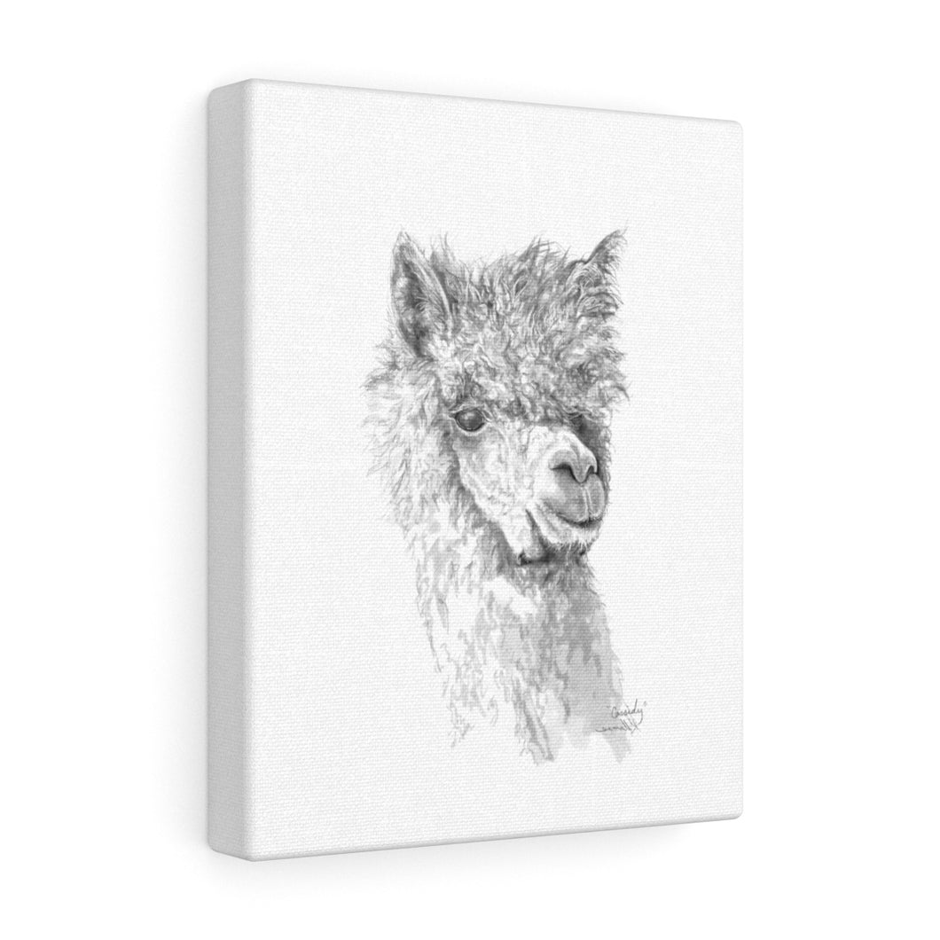 CASSIDY Llama - Art Canvas