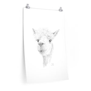 Jenna Llama- Art Paper Print