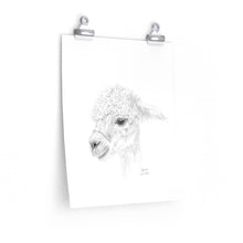 ANNA Llama- Art Paper Print