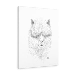 OMILY Llama - Art Canvas