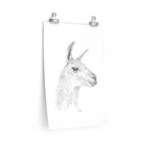SHELIA Llama- Art Paper Print