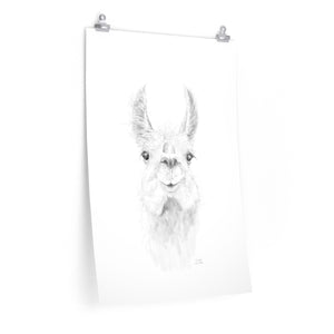 ZAILAH Llama- Art Paper Print