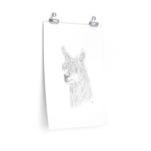 SHONDA Llama- Art Paper Print
