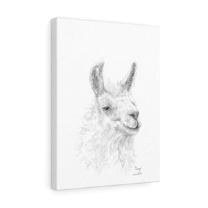 CRAIG llama- Art Canvas