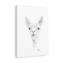 ANISA Llama- Art Canvas