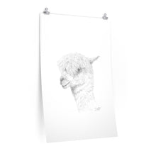 TIMOTHY Llama- Art Paper Print